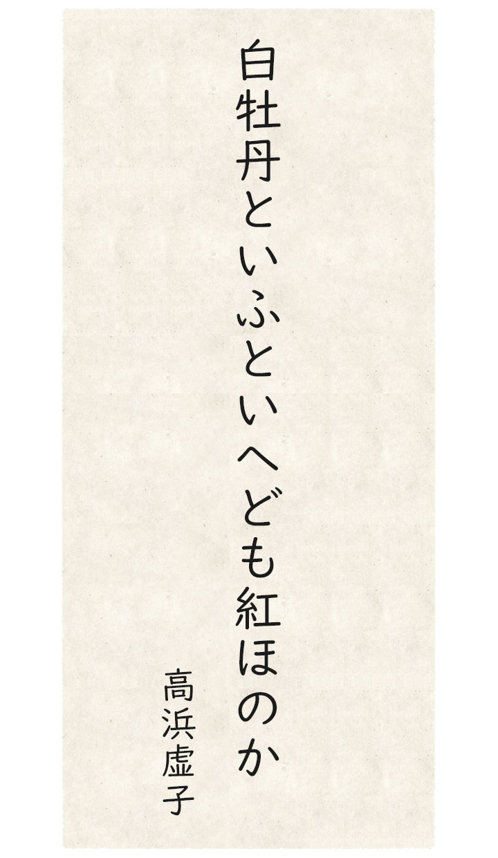 夏井いつき １７音の旅 第36回 季語 白牡丹 初夏 ごくうweb