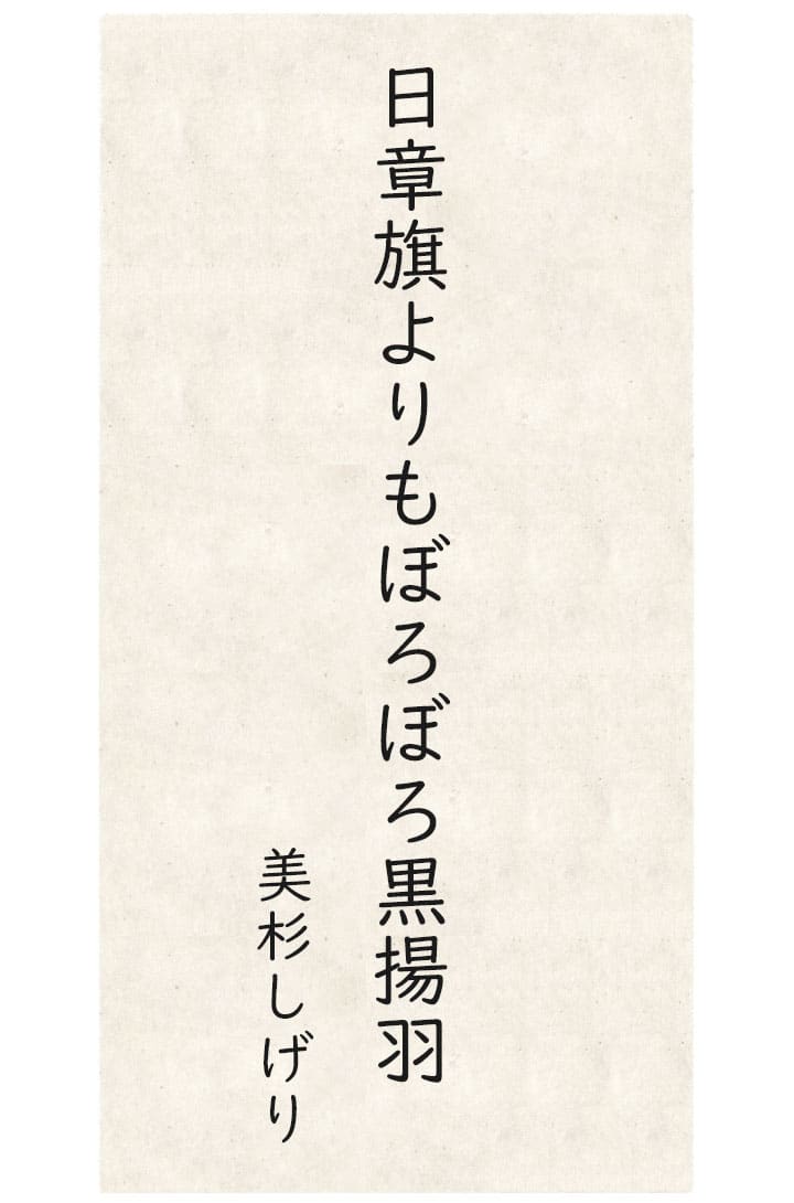 夏井いつき １７音の旅 第55回 季語 黒揚羽 三夏 ごくうweb